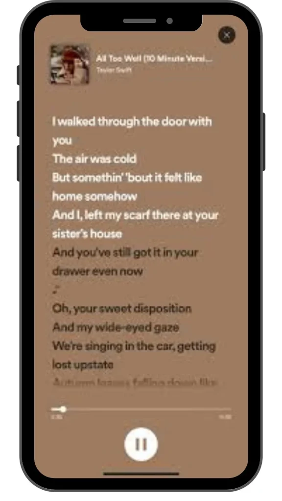 spotify view lyrics feature