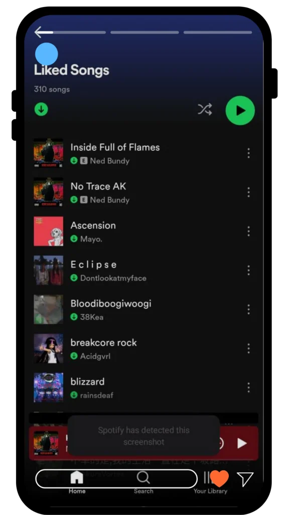 Spotify Premium APK SCREEN SHOT 8