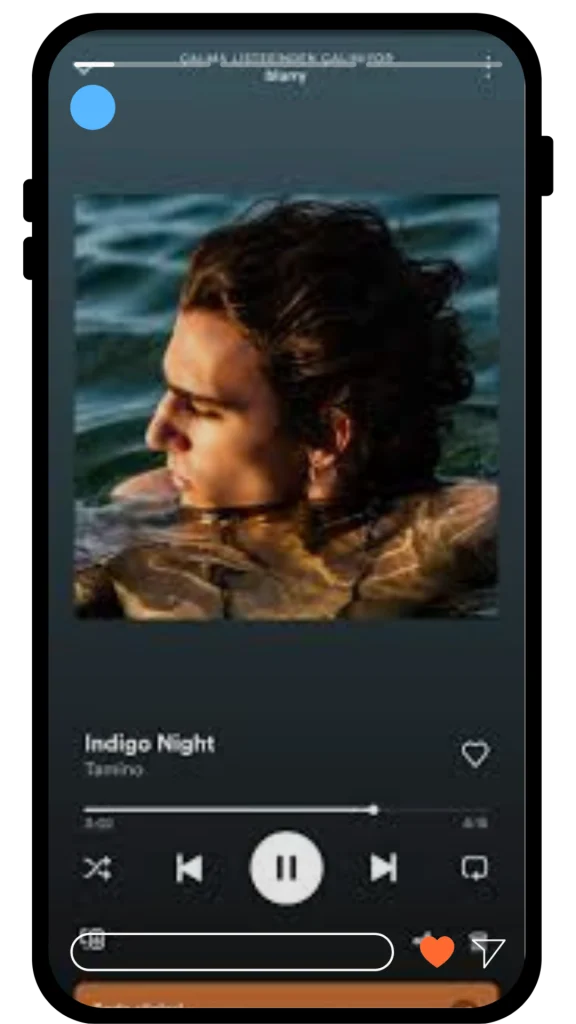Spotify Premium APK SCREEN SHOT 7